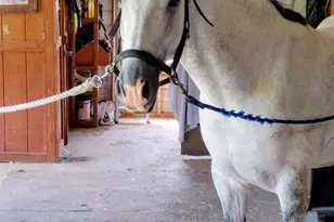 2105 Wesson Dr, Aiken, SC 29803 - Photo 4