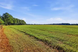 161 Daniel Boone Dr, Aiken, SC 29803 - Photo 56