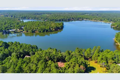 1065 Edisto Lake Road, Wagener, SC 29164 - Photo 34