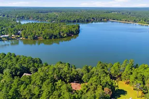 1065 Edisto Lake Rd, Wagener, SC 29164 - Photo 34