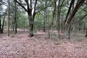 Lot B Warbonnet Rd, Salley, SC 29137 - Photo 1