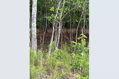 Lot B Warbonnet Road, Salley, SC 29137 - Photo 4