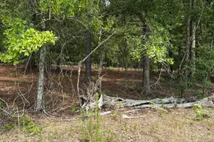 Lot F Warbonnet Rd, Salley, SC 29137 - Photo 1