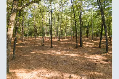 Tbd Edisto Lake Road #39, Wagener, SC 29164 - Photo 10
