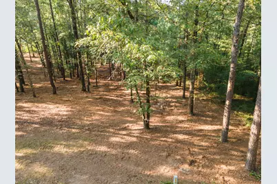 Tbd Edisto Lake Road #39, Wagener, SC 29164 - Photo 32