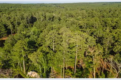 Tbd Edisto Lake Road #39, Wagener, SC 29164 - Photo 1