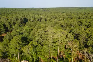 Tbd Edisto Lake Rd, Wagener, SC 29164 - Photo 1