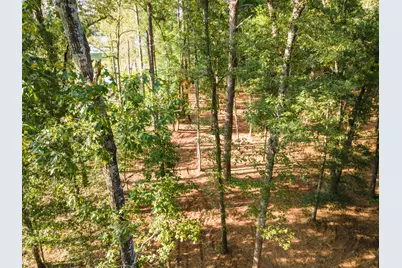 Tbd Edisto Lake Road #39, Wagener, SC 29164 - Photo 26
