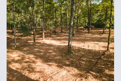 Tbd Edisto Lake Road #39, Wagener, SC 29164 - Photo 22