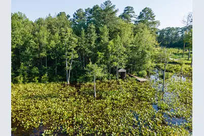 Tbd Edisto Lake Road #39, Wagener, SC 29164 - Photo 6