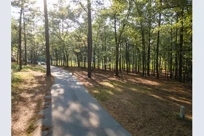 Tbd Edisto Lake Road #39, Wagener, SC 29164 - Photo 36