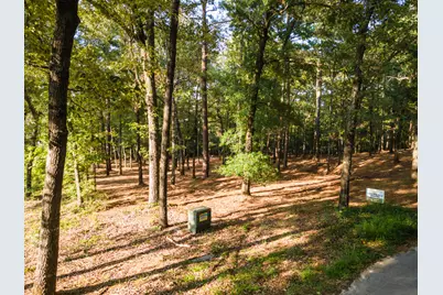Tbd Edisto Lake Road #39, Wagener, SC 29164 - Photo 28