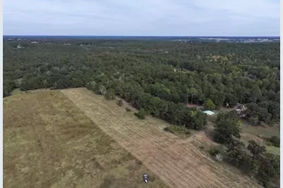 664 Flowing Well Road, Wagener, SC 29164 - Photo 4