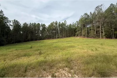 Tbd New Holland Rd Road, Wagener, SC 29164 - Photo 6