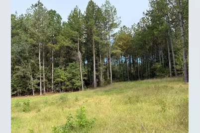 Tbd New Holland Rd Road, Wagener, SC 29164 - Photo 4