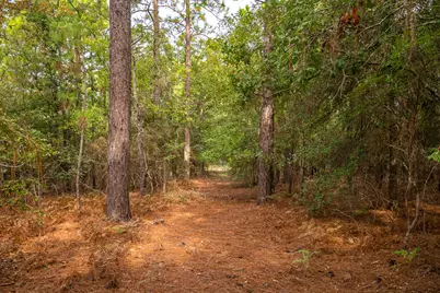 66 Bates Road, Aiken, SC 29801 - Photo 62