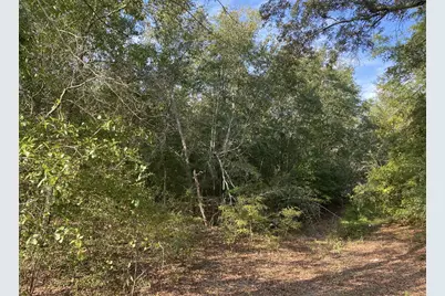 581 Ready Pond Road, Batesburg, SC 29006 - Photo 1