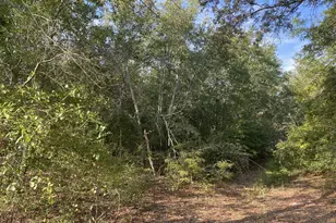 581 Ready Pond Rd, Batesburg, SC 29006 - Photo 1