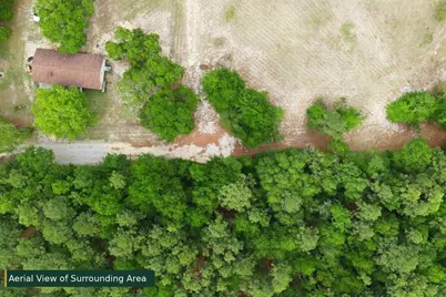 0 Lot 8 Holiness Church Road, Wagener, SC 29164 - Photo 12