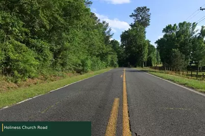 0 Lot 8 Holiness Church Road, Wagener, SC 29164 - Photo 14