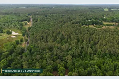 0 Lot 8 Holiness Church Road, Wagener, SC 29164 - Photo 2