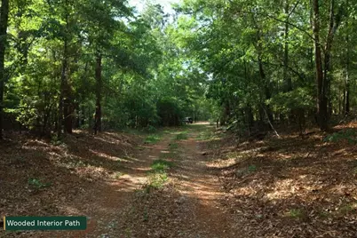 0 Lot 8 Holiness Church Road, Wagener, SC 29164 - Photo 20