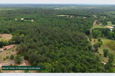 0 Lot 8 Holiness Church Road, Wagener, SC 29164 - Photo 6