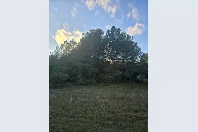 Tbd Highway 25/Tower View Dr, Trenton, SC 29847 - Photo 2