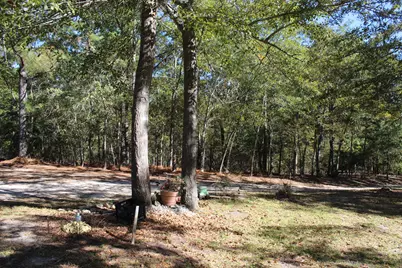 314 Windy Ridge Road, Trenton, SC 29847 - Photo 12