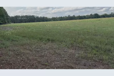 988 Flowing Well Road, Wagener, SC 29164 - Photo 8
