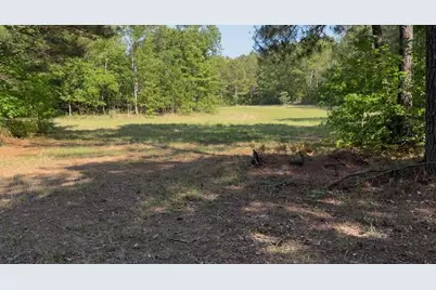 988 Flowing Well Road, Wagener, SC 29164 - Photo 4