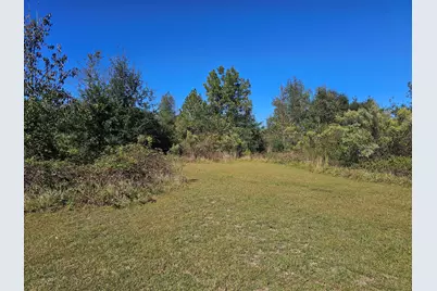 25 Holmes Pond Road, Johnston, SC 29832 - Photo 36