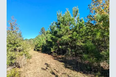 51 Long Cane Road, Johnston, SC 29832 - Photo 6