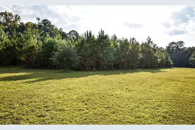 2351 Savannah Grove Road, Effingham, SC 29541 - Photo 8