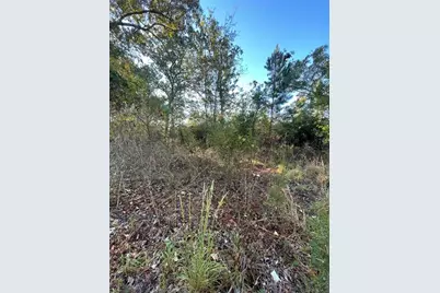 5038 Aggravashun Circle, Wagener, SC 29164 - Photo 2