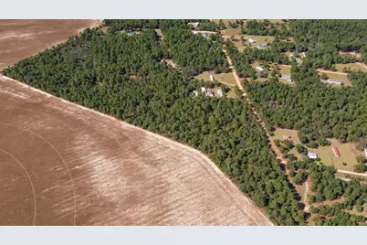 333 Northcutt Road, Pelion, SC 29123 - Photo 10