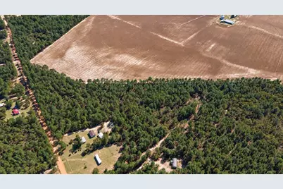 333 Northcutt Road, Pelion, SC 29123 - Photo 14