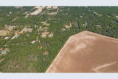 Tbd Northcutt Road, Pelion, SC 29123 - Photo 12