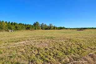Lot 1 Jaywood Rd, Williston, SC 29853 - Photo 18