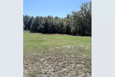 155 Saint Johns Place, Warrenville, SC 29851 - Photo 18