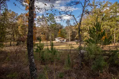 260 Bluffwood Road, Wagener, SC 29164 - Photo 58