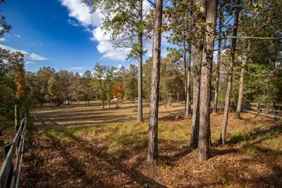 260 Bluffwood Road, Wagener, SC 29164 - Photo 60