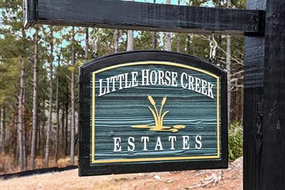 Lot 13 Little Horse Creek Drive - Photo 1