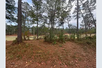 0-Lot 2 Birdie Place, Graniteville, SC 29829 - Photo 1