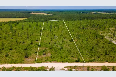 Lot 14 Old Shoals Road, Monetta, SC 29105 - Photo 1