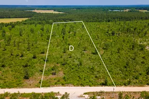 Lot 14 Old Shoals Rd, Monetta, SC 29105 - Photo 1