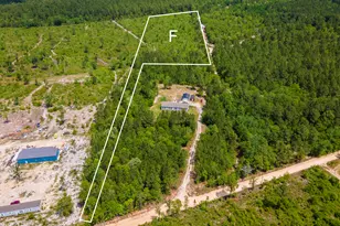 9+ Acres Old Shoals Rd, Monetta, SC 29105 - Photo 1