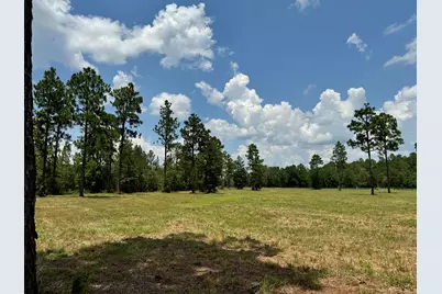 8.72 Acres Tandem Trail, Windsor, SC 29856 - Photo 1