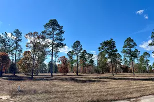 Lots 14/15 Dasher Circle, Aiken, SC 29803 - Photo 1