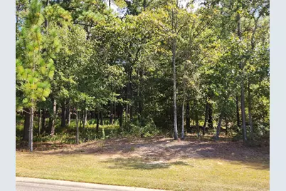 230 Birch Tree Circle, Aiken, SC 29803 - Photo 1